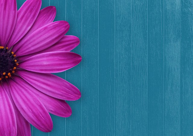 6 reasons to nurture your Wellbeing