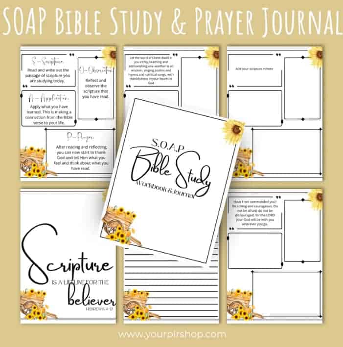 Mockup for the SOAP Bible Study Journal PLR product